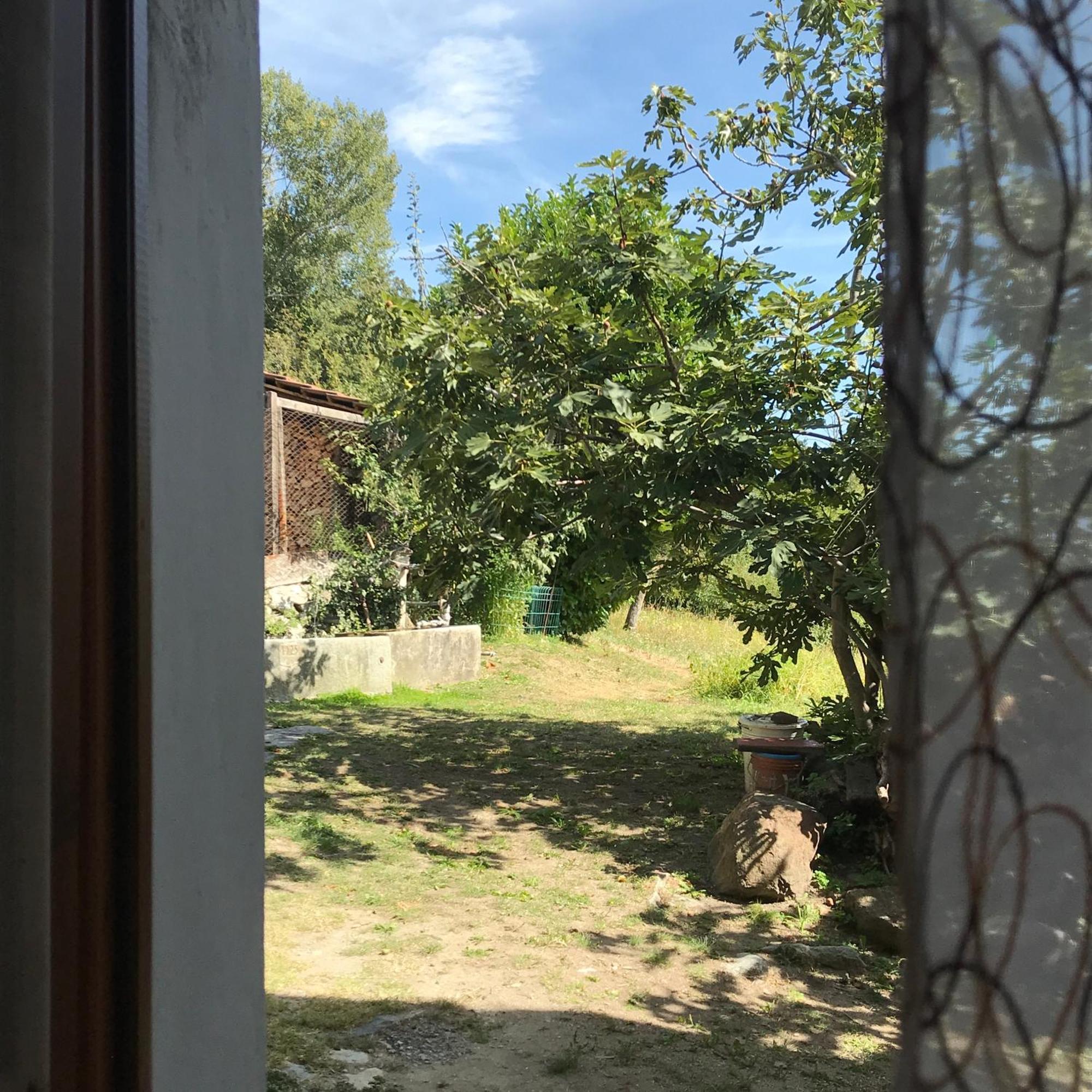 Palu Vacanze: L'Intimita Aosta Room photo